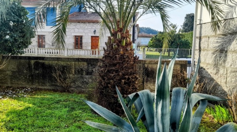 Pontevedra - Paiendes - 1200m2