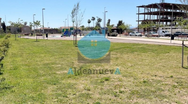 Castellón - Castelló de la Plana - 800m2