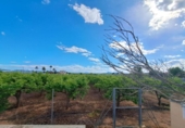Casa de campo con terreno en venta en la España, La Pobla Llarga, ref: TR160455 foto