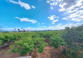Casa de campo con terreno en venta en la España, La Pobla Llarga, ref: TR160455 foto