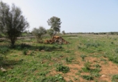 Non-developable land for sale on España, Sineu, ref: TR130439 photo