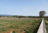 Non-developable land for sale on España, Sineu, ref: TR130439 photo