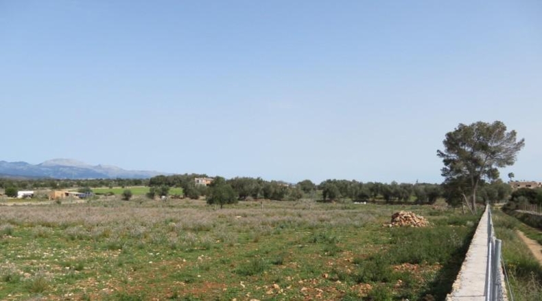 Balearic Islands - Sineu - 17000m2