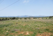 Non-developable land for sale on España, Sineu, ref: TR130439 photo