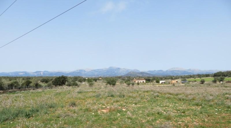Balearic Islands - Sineu - 17000m2