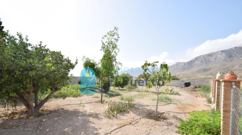 Murcia - Mazarrón - 4472m2