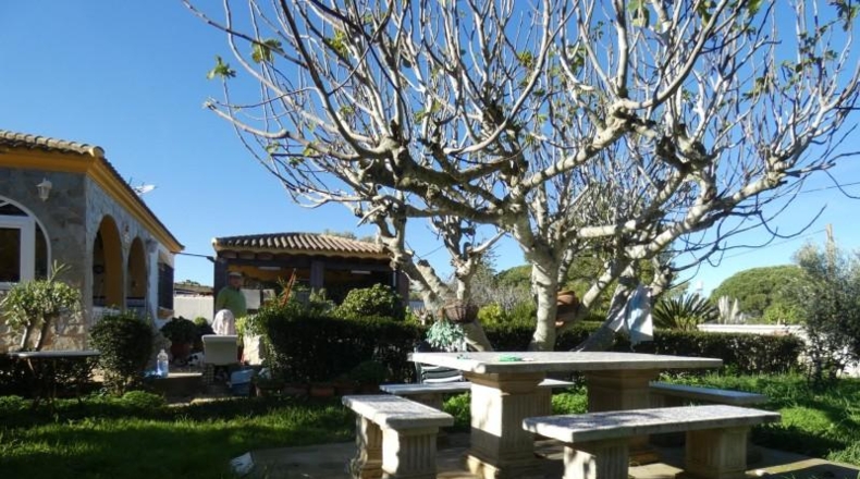 Cadiz - Chiclana de la Frontera - 2400m2