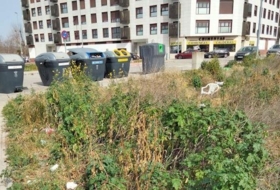 Talavera de la Reina 3992&nbsp;m² 