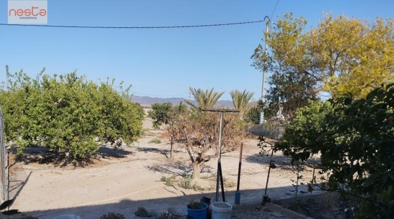 Murcia - Lorca - 30000m2