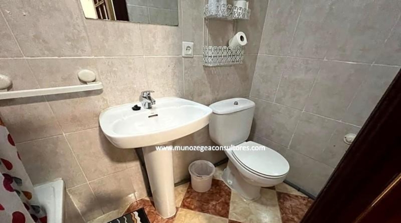 Córdoba - Lucena - 555m2