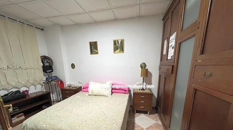 Córdoba - Lucena - 555m2