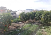 Chalet independiente con terreno en venta en la España, Lorca, ref: TR151903 foto