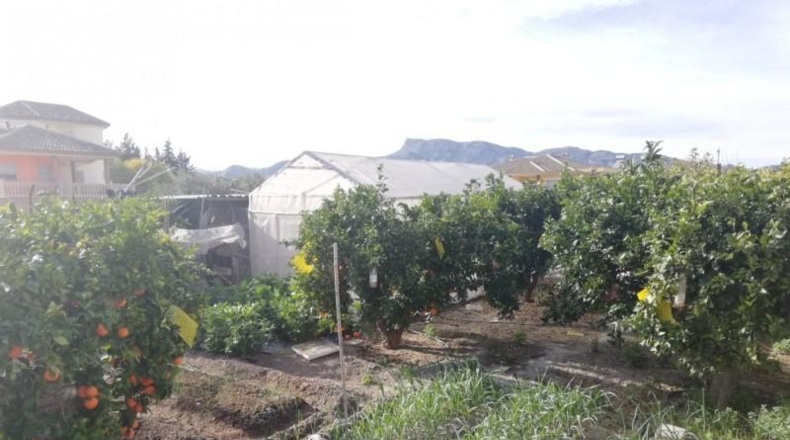 Murcia - Lorca - 436m2