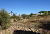 Terreny no urbanitzable en venda a la España, Vila-real, ref.: TR125881 foto