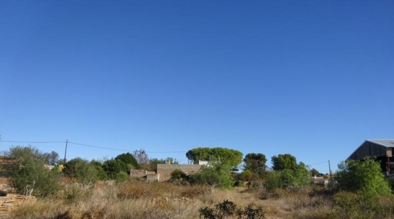 Castellón - Villarreal - 2421m2