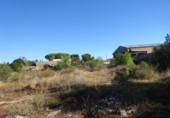 Terreny no urbanitzable en venda a la España, Vila-real, ref.: TR125881 foto