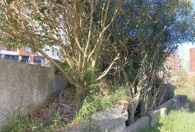 Foto 16