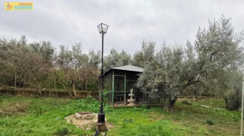 Córdoba - Luque - 3438m2