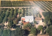 Отдельно стоящий дом с участком на продажу в городе Tortosa Фото