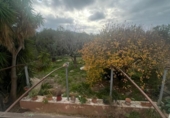 Отдельно стоящий дом с участком на продажу в городе Tortosa Фото