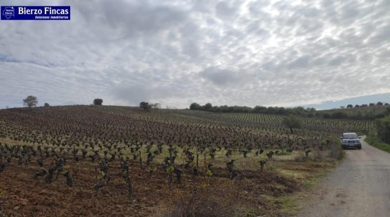 Leon - Camponaraya - 40000m2