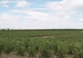 Terreny no urbanitzable en venda a la España, Lucena, ref.: TR242234 foto
