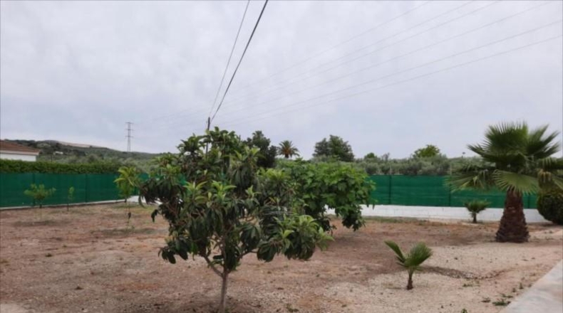 Córdoba - Cabra - 1800m2