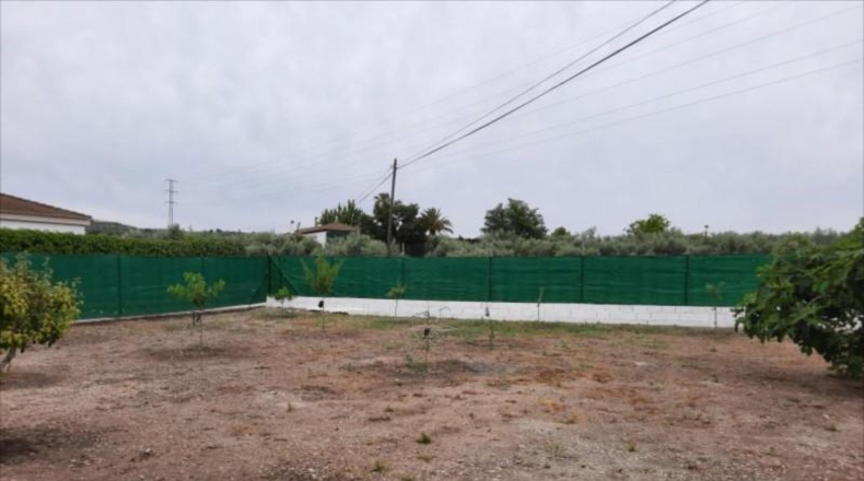 Córdoba - Cabra - 1800m2
