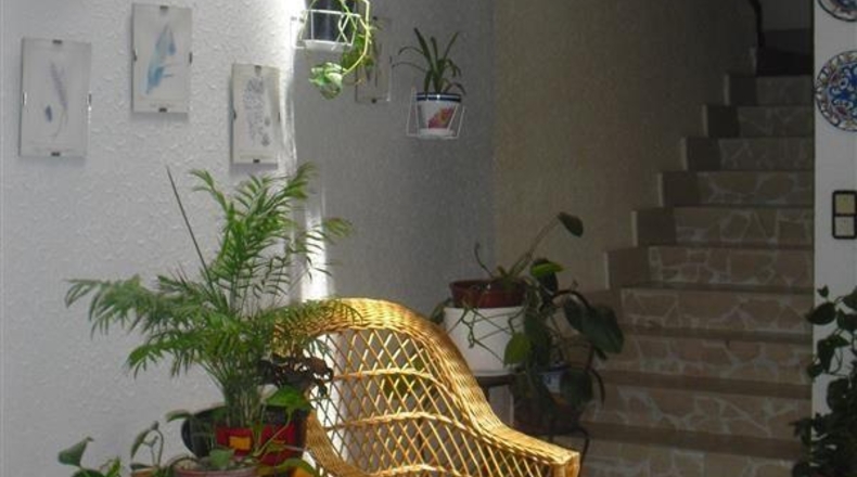 Ciudad Real - Alcázar de San Juan - 295m2