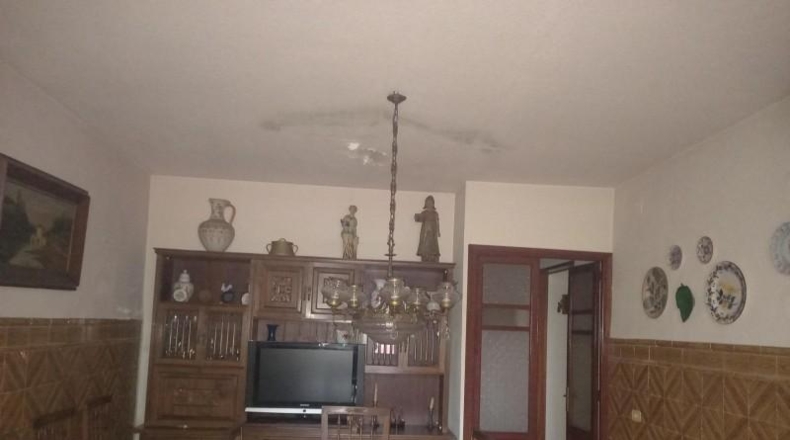 Castellón - Castelló de la Plana - 349m2