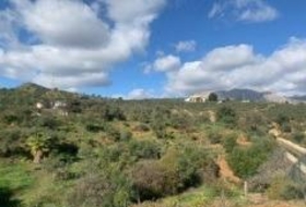 Álora 24436&nbsp;m² 