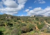 Terreno no urbanizable en venta en la España, Álora, ref: TR244537 foto