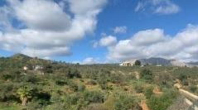 Málaga - Álora - 24436m2