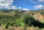 Terreno no urbanizable en venta en la España, Álora, ref: TR244537 foto