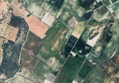 Non-developable land for sale on España, Maria de la Salut, ref: TR236151 photo