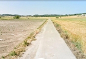 Non-developable land for sale on España, Maria de la Salut, ref: TR236151 photo