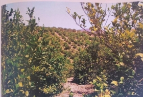 Álora 48624&nbsp;m² 
