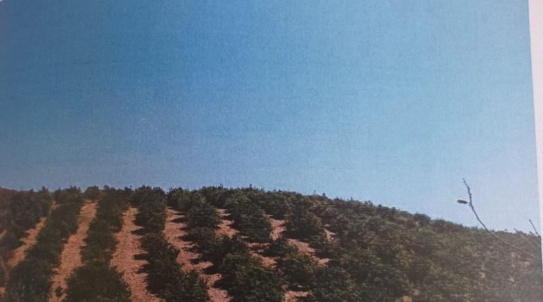 Málaga - Álora - 48624m2