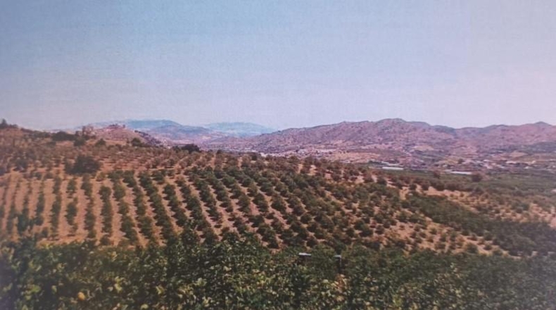 Málaga - Álora - 48624m2