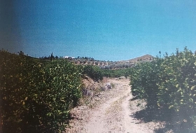 Álora 48624&nbsp;m² 
