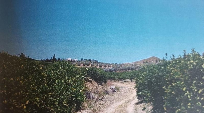 Málaga - Álora - 48624m2
