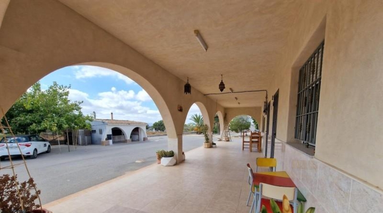 Alicante - Crevillente - 6300m2