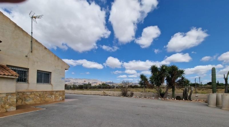 Alicante - Crevillente - 6300m2