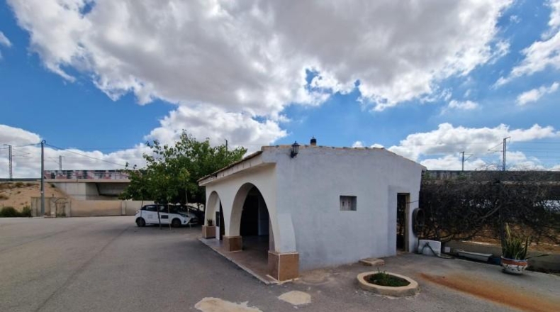 Alicante - Crevillente - 6300m2