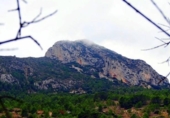 Xalet independent amb terreny en venda a la España, Elx, ref.: TR255398 foto