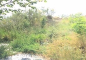 Urban land for sale on España, Aranjuez, ref: TR120170 photo