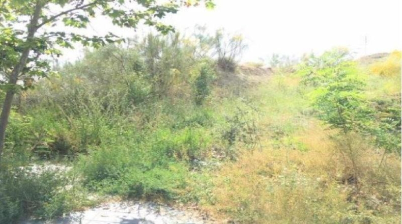 Comunidad de Madrid - Aranjuez - 10112m2