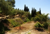 Casa de camp amb terreny en venda a la España, Sant Vicent del Raspeig, ref.: TR217268 foto