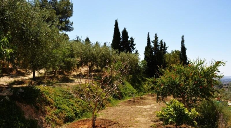 Alicante - San Vicente del Raspeig - 270m2