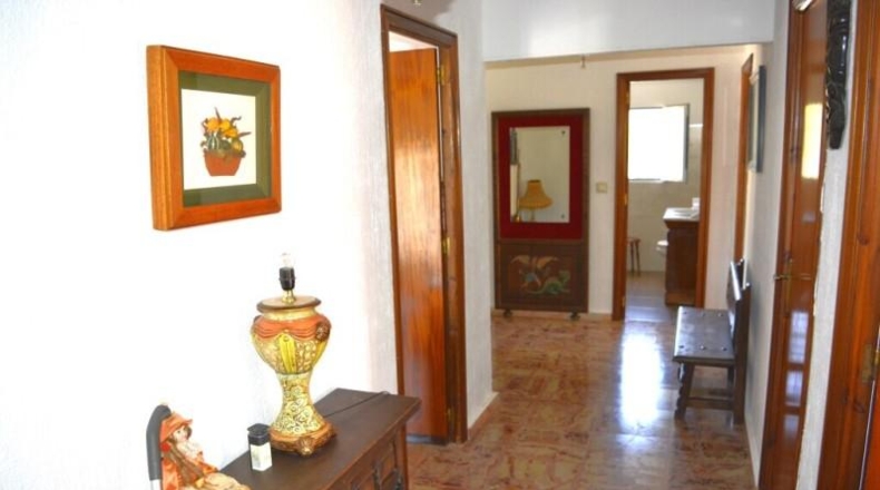 Alicante - San Vicente del Raspeig - 270m2